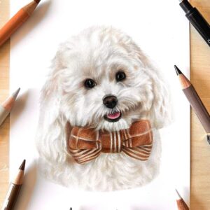 Colour Pencil Workshop